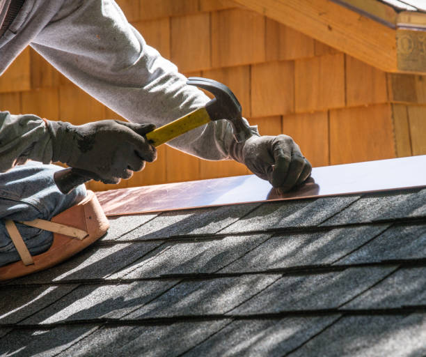 Best Flat Roof Repair Services  in Excelsior, MN